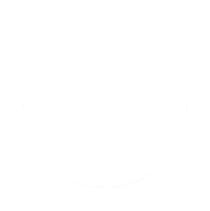 usap league icon white